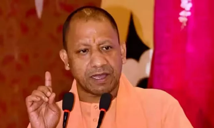1429652-yogi