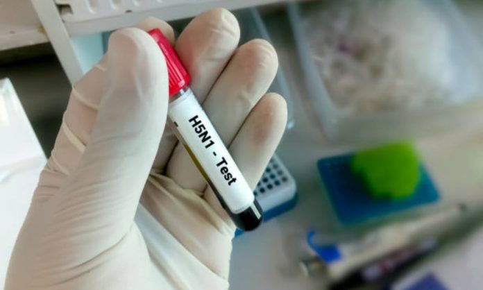 reporterlive_2024-06_c9cbd1b8-a930-458b-8619-fe55f4f3eaa6_H1N1_case_reported_by_alapuzha