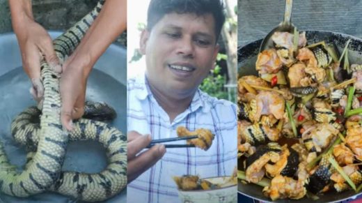 firoz-chuttipara-snake-1