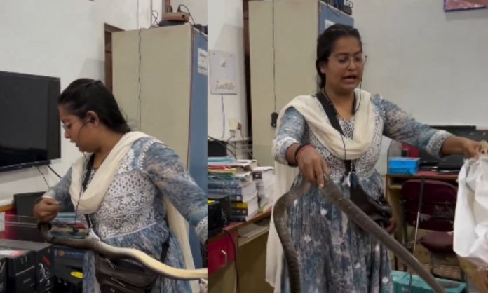 reporterlive_2024-07_b24f2e21-f9f1-474c-bd9a-fce9a09effb3_snake