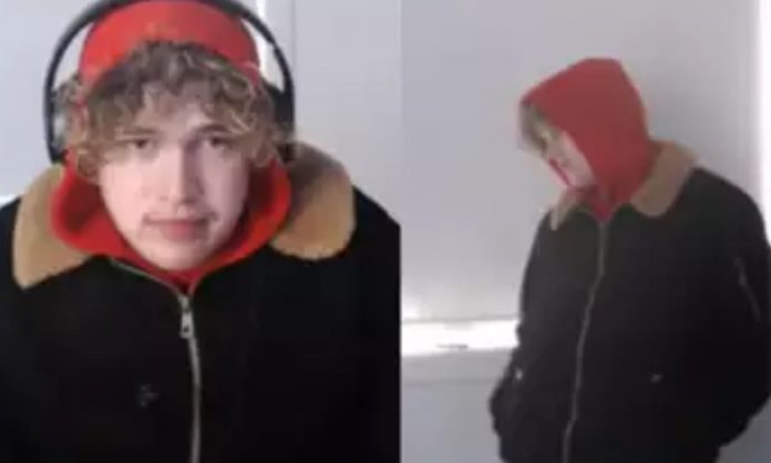 reporterlive_2024-08-12_86rehpmu_ലൈവ് സ്ട്രീമി...തെ 1...2യി; വിചിത്ര വെല്ലുവിളിയുമായി ഓസ്_ട്രേലിയന്_ യൂട്യൂബര്_