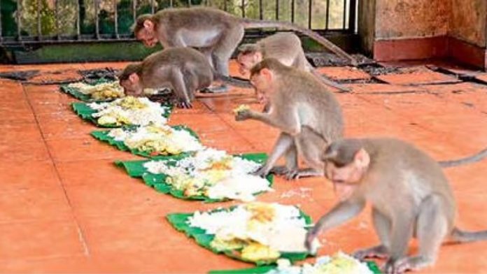 1726389332386-converted_file