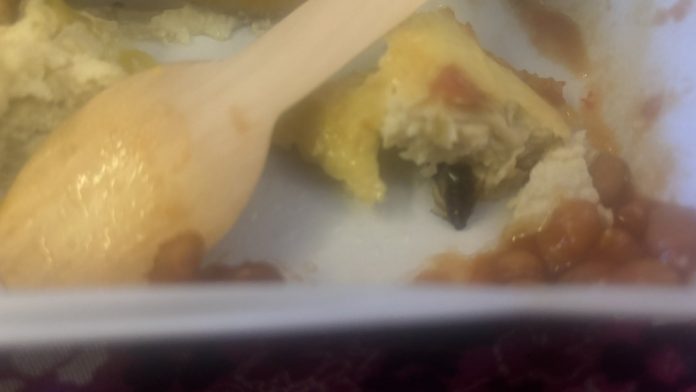 1727528845846-converted_file