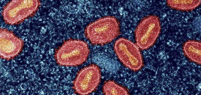 nPw31MatOagszoN74gzBZtXQZ3r7QgmgR37O29YN