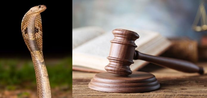 XrABnITQAi3RssQTT6LwejuVkPtMnrHT1voTmW4D