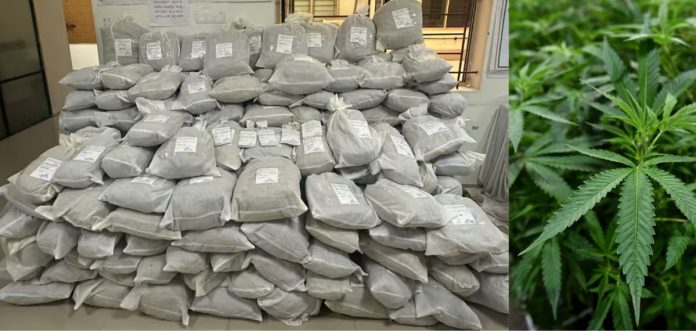 JmmVpxyirXcimok2YDIYqoBWQ8oMQOFSeNpUyVOK