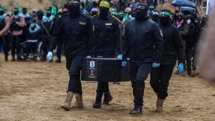 1740110789871-converted_file