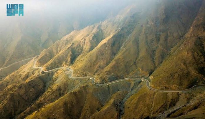 images - 2025-02-18T204545.003