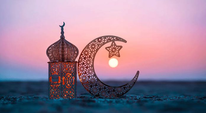 images - 2025-02-28T195915.509