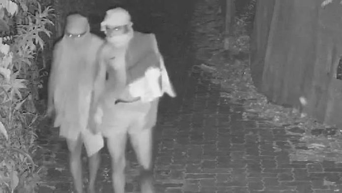 1743315857911-converted_file