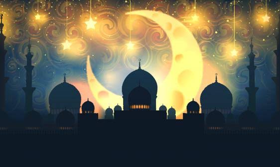 images - 2025-03-31T063625.019