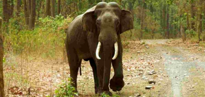 zbpcEZmkmiIMxlQv0H8fDdDYyNBtMAyUiAGNQxvE