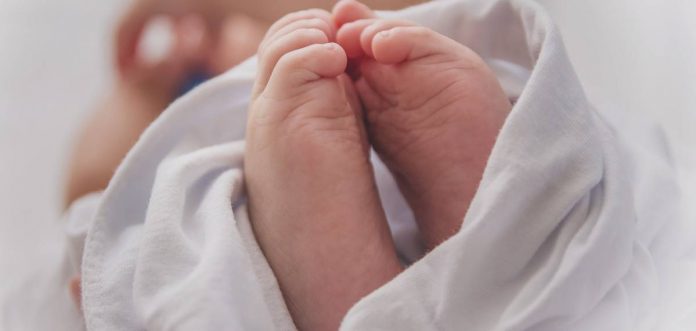 fyyQ6aI1WPSLxt0ninimP4H6QxbPj4y9DZQX2DKn