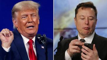 trump-musk_363x203xt