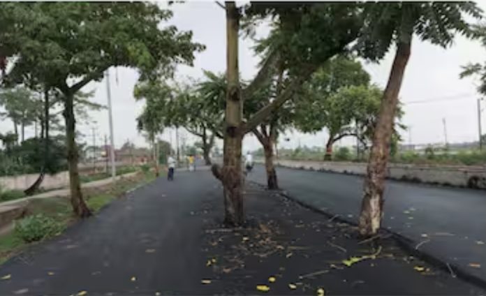 Screenshot_20250701_142547_Chrome