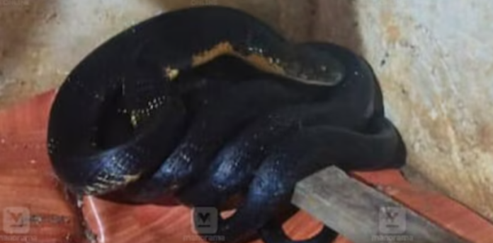 Screenshot_20250815-183313.Chrome