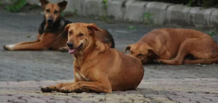 kFHE9EbyGj4iHSFanCiutPSUrDLT40YJyhtx5oMt