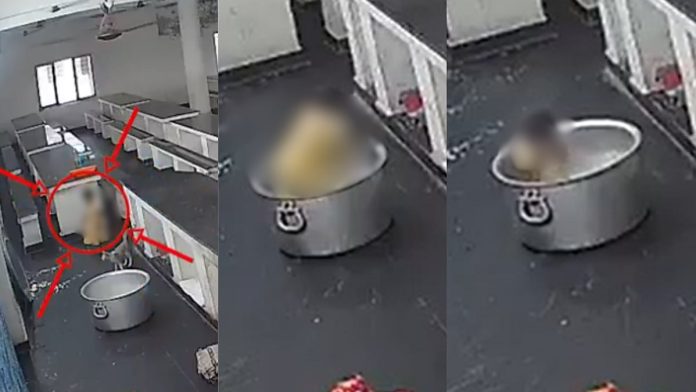 newsmalayalam_2025-09-26_0rnwmiw1_Accident