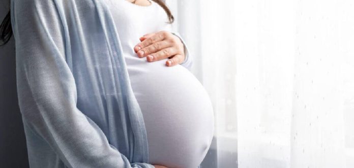 Nm42xPoRhEkg6irXIBeOsWUtV7TYTjxvY4cqokrT