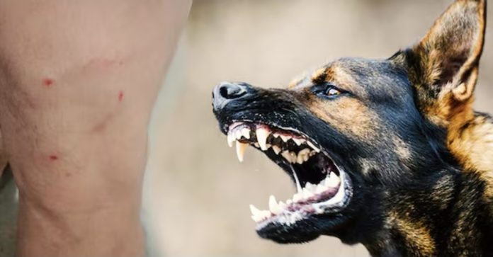 Screenshot_20251006_112149_Chrome