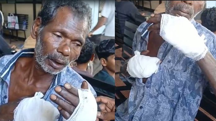 newsmalayalam_2025-10-30_jcc3ro8v_bear-attack