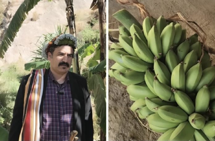 Screenshot_20251124_062433_Chrome