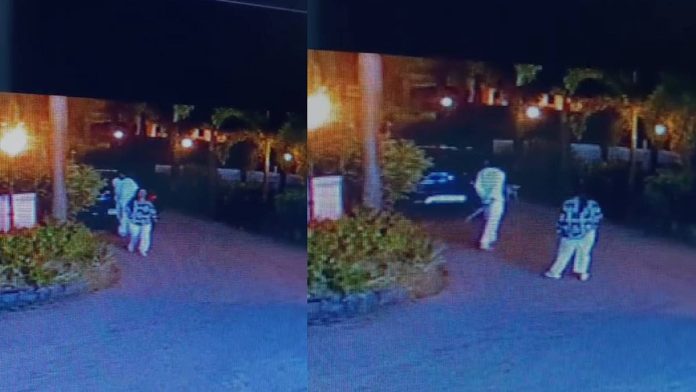 newsmalayalam_2025-11-18_7jd3510t_vytila