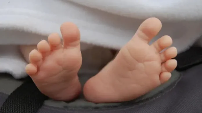 Infant-1759393310503-b1f311a6-72ce-4c37-a312-89cada110fef-900x506