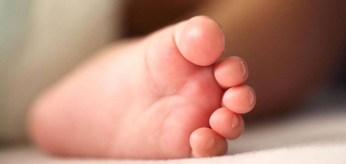 O055nL01JeD2jRx53mbtN9S0PihWAro7fum3N6rF