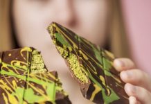 മരണം തന്നെ സംഭവിച്ചേക്കും: “ദുബായ് ചോക്ലേറ്റി” ന്റെ വ്യാജൻ വിപണിയിൽ സജീവം, കണ്ടെത്തിയ അപകടകരമായ ചേരുവകൾ, മുന്നറിയിപ്പ് നൽകി ബ്രിട്ടൻ