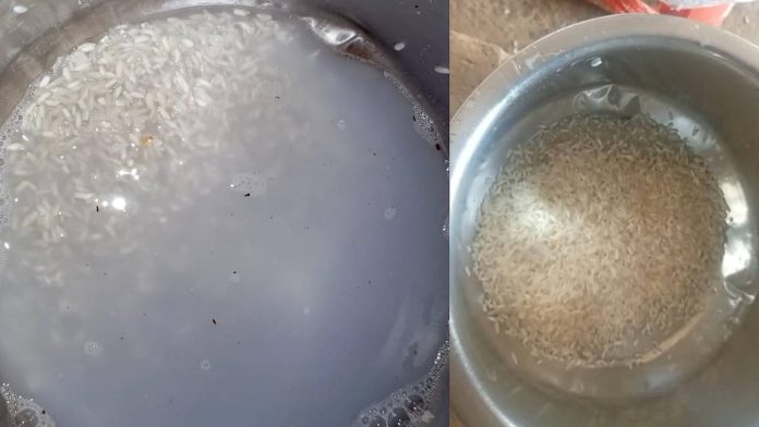 newsmalayalam_2025-12-28_2wt35c1y_Rice