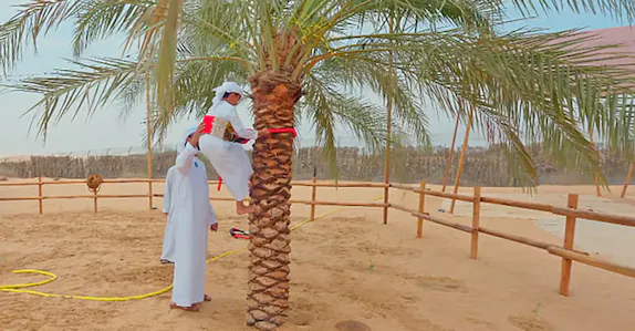 sheikh-hamdan-visits-ghamran-camp-with-children