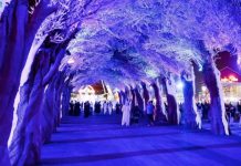 ലണ്ടനിൽ നിന്ന് സഊദി അറേബ്യയിലേക്ക്; ജിദ്ദയിൽ വിനോദം ഇനി പുതിയ അനുഭവമാകും; വിന്റർ വണ്ടർലാൻഡ് വെള്ളിയാഴ്ച മുതൽ