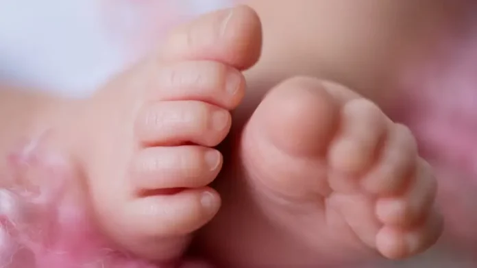 baby-1741190473633-41312be3-63ca-4b90-ba32-e12473c08a5c-900x506