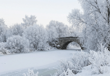 സഊദിയുടെ വടക്കന് പ്രദേശങ്ങളിലും അയല്രാജ്യങ്ങളിലും ഇന്ന് മുതല് മഞ്ഞുവീഴ്ചക്ക് സാധ്യത