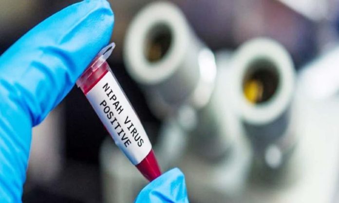 nipah-2-897x538