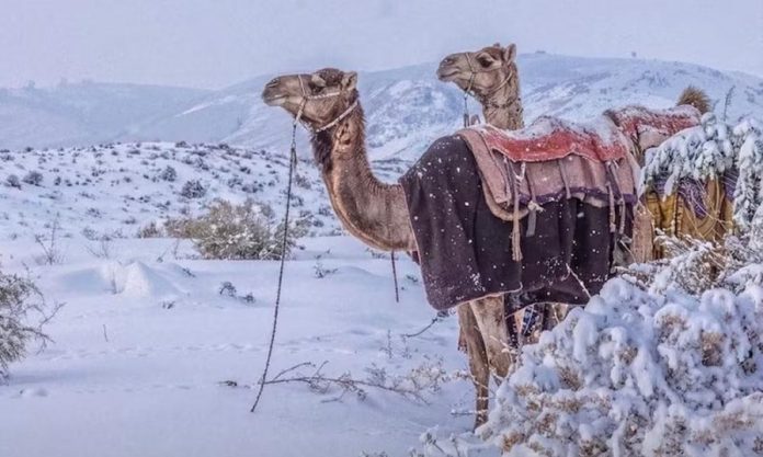 untitled-3-4-897x538