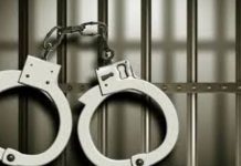 എക്സിറ്റ് സ്ലിപ്പുകൾ ഇല്ല, ഉദ്യോഗസ്ഥന്റെ ജാഗ്രതയിൽ ചുരുളഴിഞ്ഞത് വൻ തട്ടിപ്പ്, അതിർത്തി കടക്കുന്നതിനിടെ ഒരു കുടുംബത്തിലെ 7 പേർ പിടിയിൽ