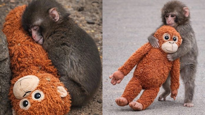 newsmalayalam_2026-02-21_rlrnurjp_Punch