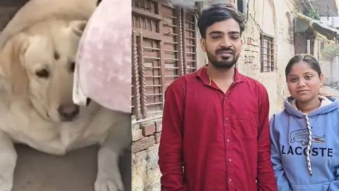 newsmalayalam_2026-02-23_4sc13x4a_Couple-UP