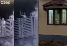 ആരോഗ്യമന്ത്രിയെ കരിങ്കൊടി കാണിച്ച കെഎസ്യു നേതാവിൻ്റെ വീടിന് നേരെ ബോംബേറ്