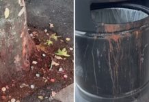 ഇന്ത്യയിലാണെന്ന തോന്നലിൽ പാൻ മസാല ചവച്ചുതുപ്പി, പിഴയും അടച്ചില്ല, രണ്ട് ഇന്ത്യക്കാർക്ക് കനത്ത പിഴ