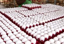 പശ്ചിമേഷ്യയിൽ യുദ്ധം, നോമ്പുകാലം, കുത്തനെ ഇടിഞ്ഞ് മുട്ടവില, പൗഡറാക്കാനുള്ള നീക്കത്തിൽ ഉത്പാദകർ