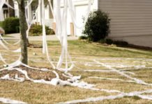 അധ്യാപകന്റെ വീട്ടിൽ ടോയ്ലെറ്റ് പേപ്പർ പ്രാങ്ക്, വിദ്യാർത്ഥികളെ പിടികൂടാനുള്ള ശ്രമത്തിനിടെ 40കാരൻ ദാരുണ മരണം