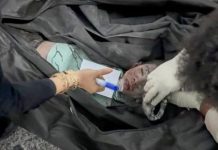 ഇറാനില് പെണ്കുട്ടികളുടെ സ്കൂളില് മിസൈലാക്രമണം; അന്വേഷണം വേണമെന്ന് ഐക്യരാഷ്ട്രസഭ