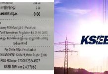 കെഎസ്ഇബി ബില്ലിലെ സർക്കാർ പരസ്യം: കേന്ദ്ര തെരഞ്ഞെടുപ്പ് കമ്മീഷന് പരാതി