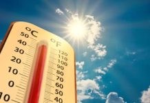 ഉയർന്ന താപനില മുന്നറിയിപ്പ്: 12 ജില്ലകളിൽ യെല്ലോ അലർട്ട് പ്രഖ്യാപിച്ചു