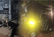 5 കിലോമീറ്റർ വിരണ്ടോടി, വാഹനങ്ങൾ തകർത്തു; കണ്ണൂരിൽ ക്ഷേത്രോത്സവത്തിനിടെ ആന ഇടഞ്ഞു – വിഡിയോ