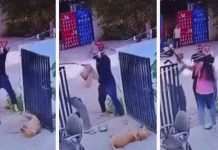 കെട്ടിയിട്ട നായയെ അതിക്രൂരമായി തല്ലുന്ന വീഡിയോ; അറസ്റ്റ് വേണമെന്ന് നെറ്റിസെൺസ്