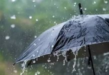 ആശ്വാസം.. അടുത്ത 3 മണിക്കൂറിൽ 8 ജില്ലകളിൽ മഴയ്ക്ക് സാധ്യത